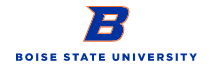 BSU