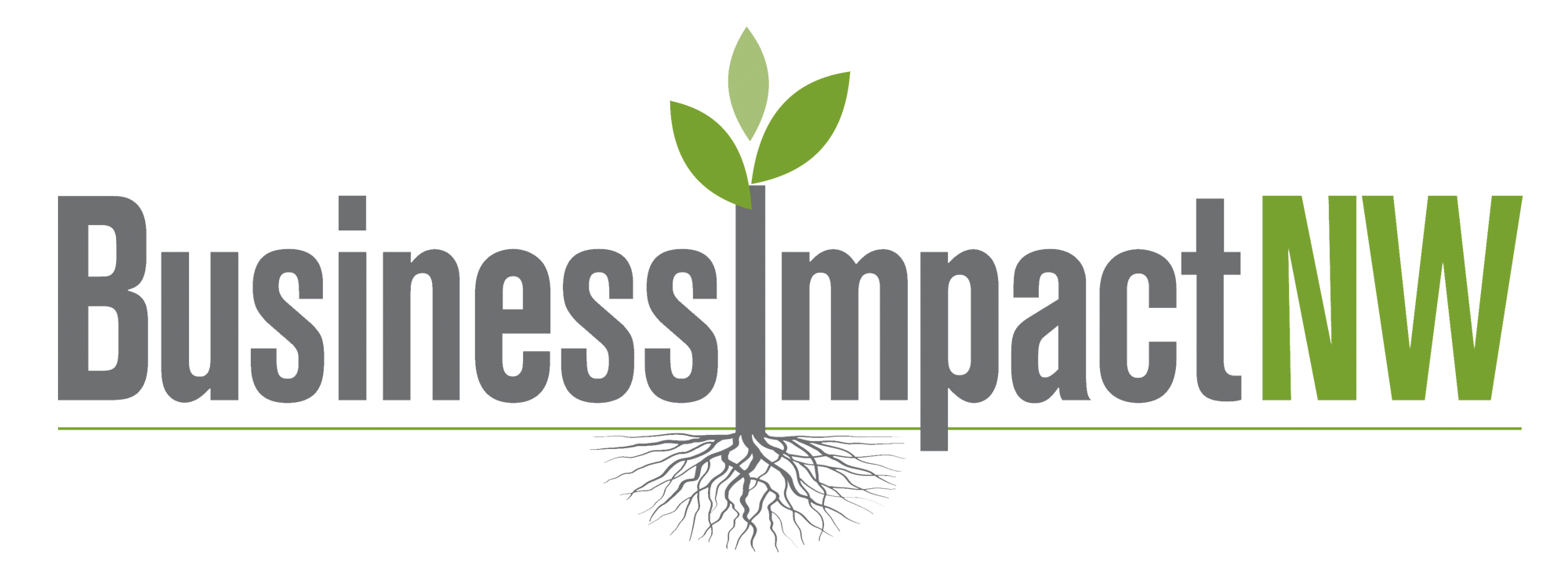 Business impact nw